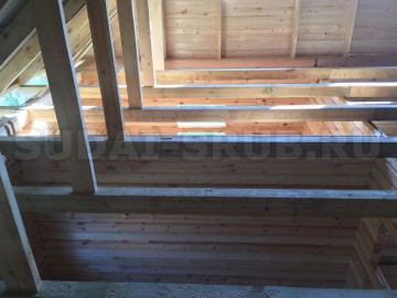 Изображение 1566