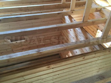 Изображение 1568