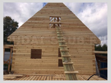 1589 Изображение 1589