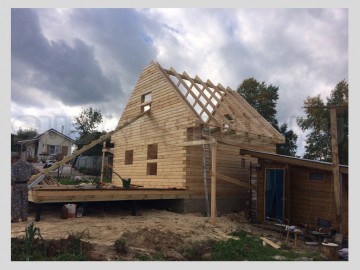 1590 Изображение 1590