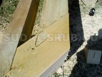 1922 Изображение 1922