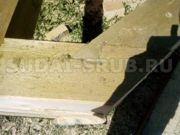 1923 Изображение 1923