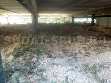 1927 Изображение 1927