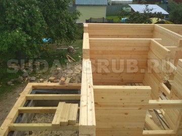 Изображение 2203