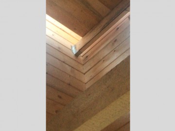 Изображение 2234