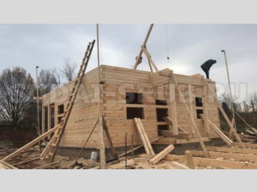 Изображение 2294