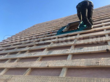 Изображение 2301