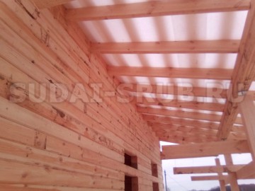 Изображение 2338