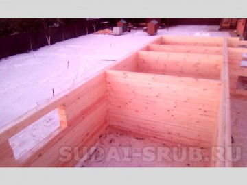 2390 Изображение 2390