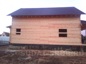 2394 Изображение 2394