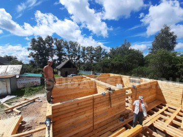 Изображение 2529