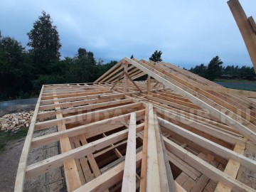 Изображение 2536