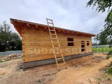 Изображение 2539