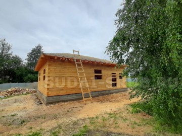 Изображение 2540