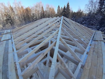 2703 Изображение 2703