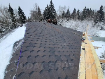 2704 Изображение 2704