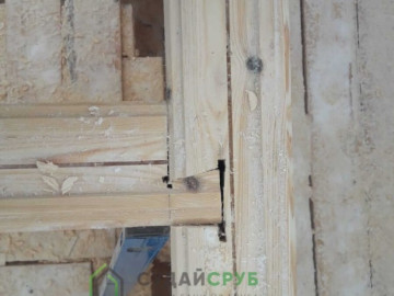 Изображение 61bb637b3f958_image-16-12-21-06-42-19