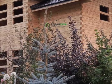 Изображение image-09-09-24-07-46-43